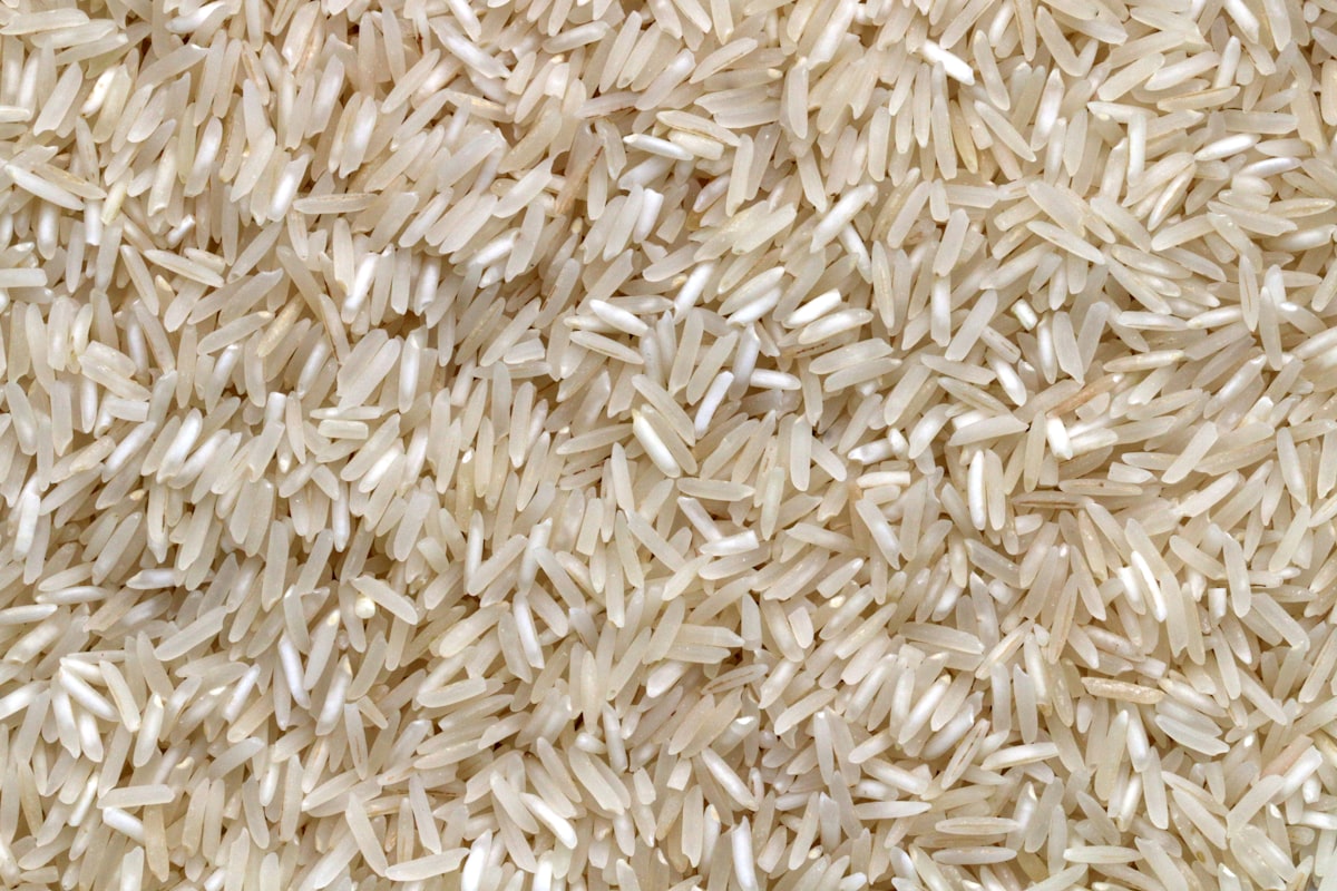 珍珠米